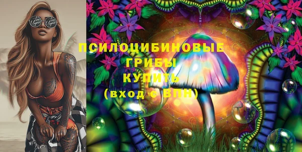 экстази Покачи