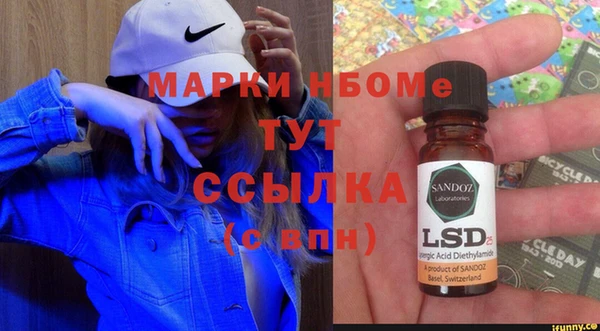 хмурый Пестово