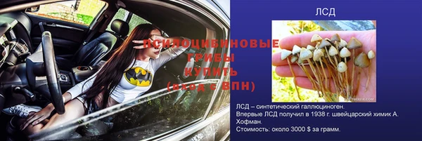 хмурый Покров
