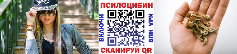 как найти закладки  Рославль  Галлюциногенные грибы Magic Shrooms 